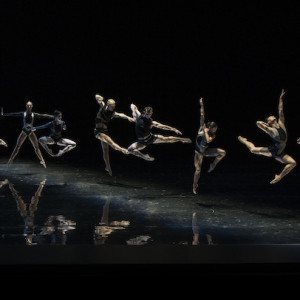 Emergence. Photo: Wendell Teodoro.